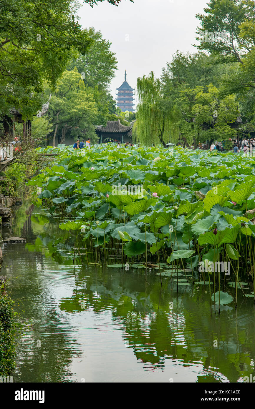 Far Away Look, Humble Administrator's Garden, Suzhou, China Stock Photo