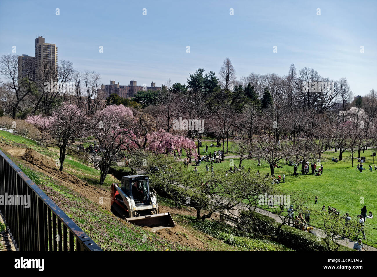 Small tractor working on an area of the Brooklyn Botanic Gardens while visitors enjoy the Spring blooms. Stock Photo