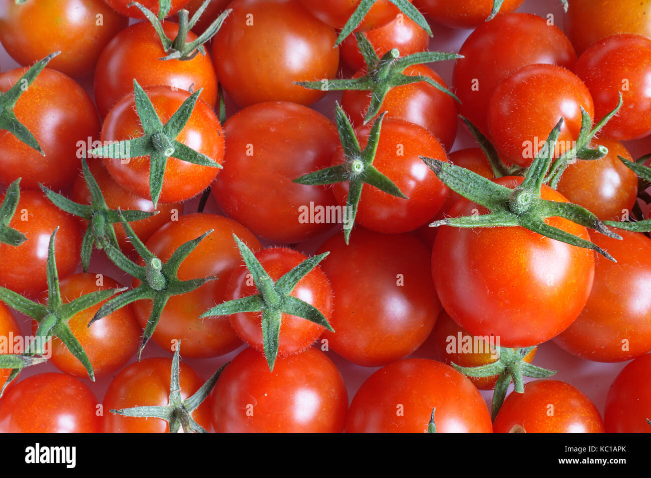 Beautiful background from red and bright tomato with green sheet Stock Photo