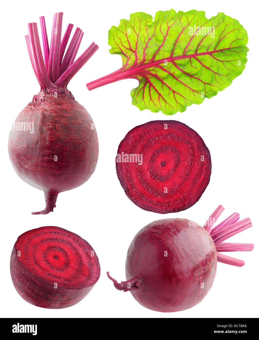 Isolated beetroot collection. Various cut and whole beetroot vegetables