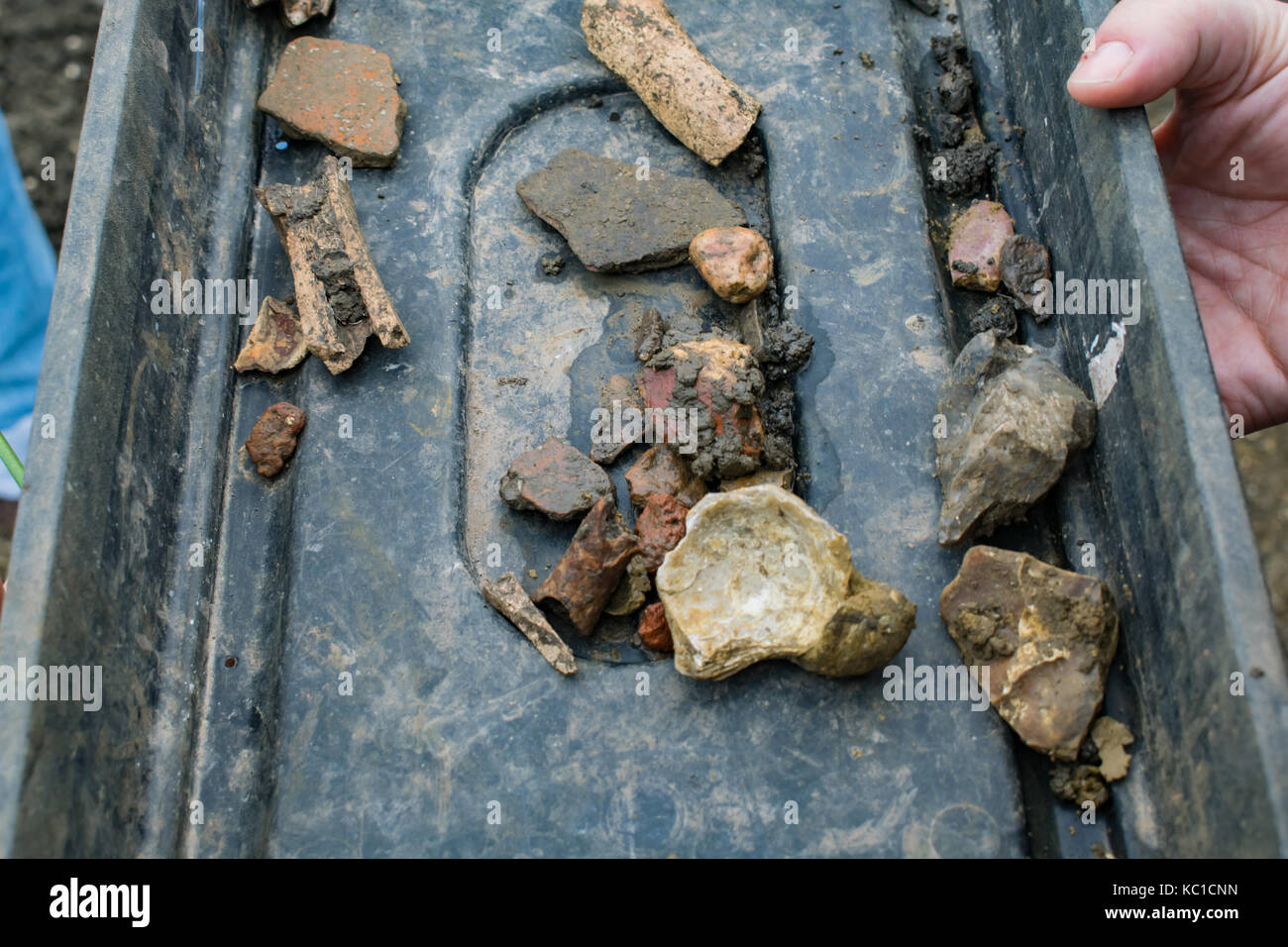 Archaeology Stock Photo