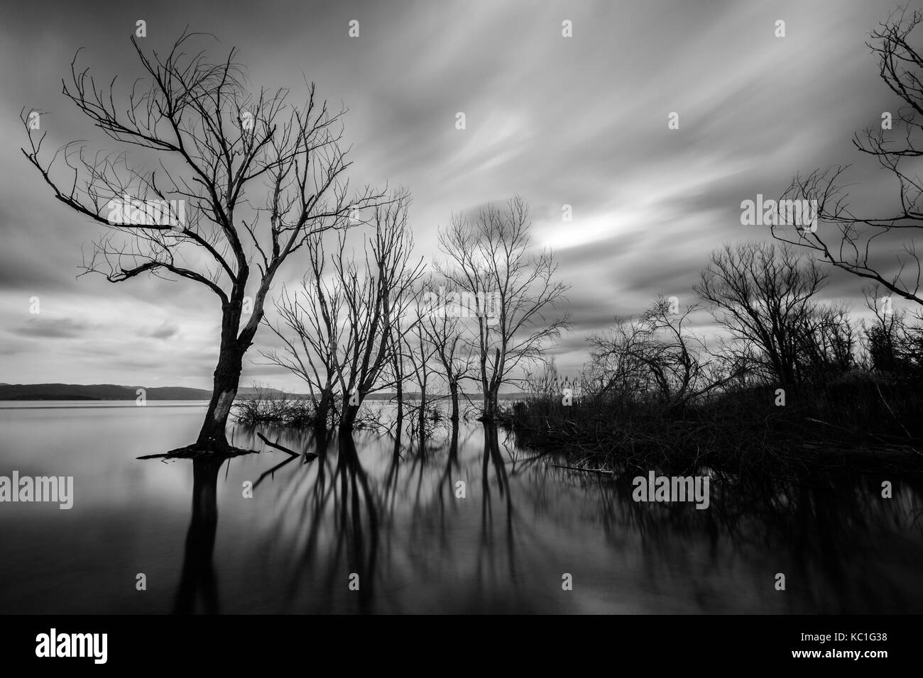 Long exposure view of a lake, with skeletal trees, still water and moving clouds Stock Photo
