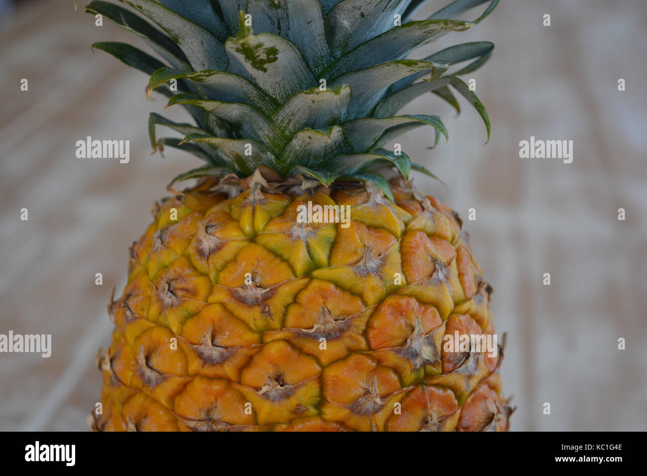 Pineapple, Ananas comosus Stock Photo - Alamy