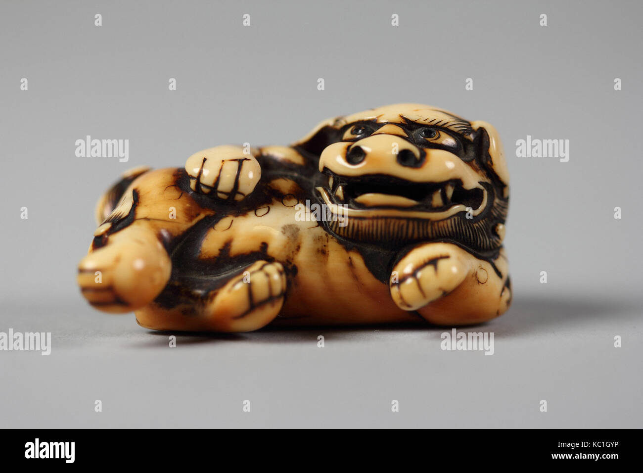 獅子牙彫根付 Chinese Lion Shishi Edo Period 1615 1868 Mid 18th Century Japan Ivory H 1 1 8 In 2 9 Cm W 1 3 16 In 3 Stock Photo Alamy