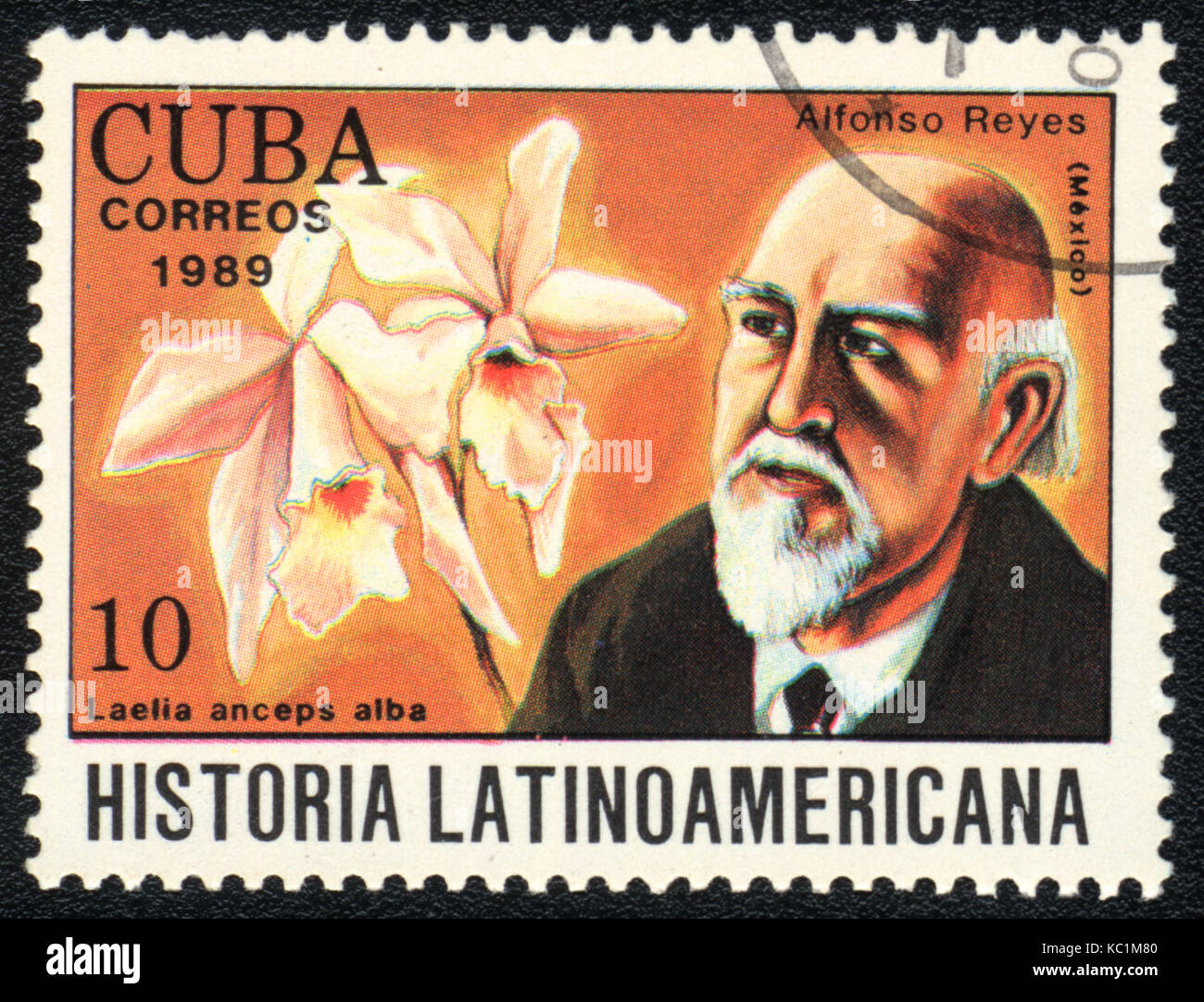 A postage stamp printed in CUBA  shows  a  Laelia anceps alba and Alfonso Reyes, series 'Historia Latinoamericana', circa 1989 Stock Photo