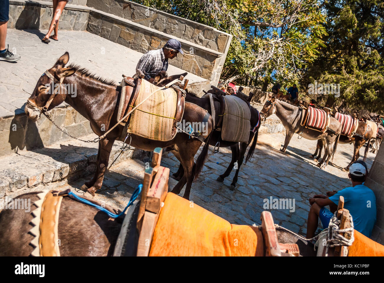 Beautiful donkeys called Taxi on the steep Lindos Acropolis Mountain, Rhodes Island, Greece Stock Photo