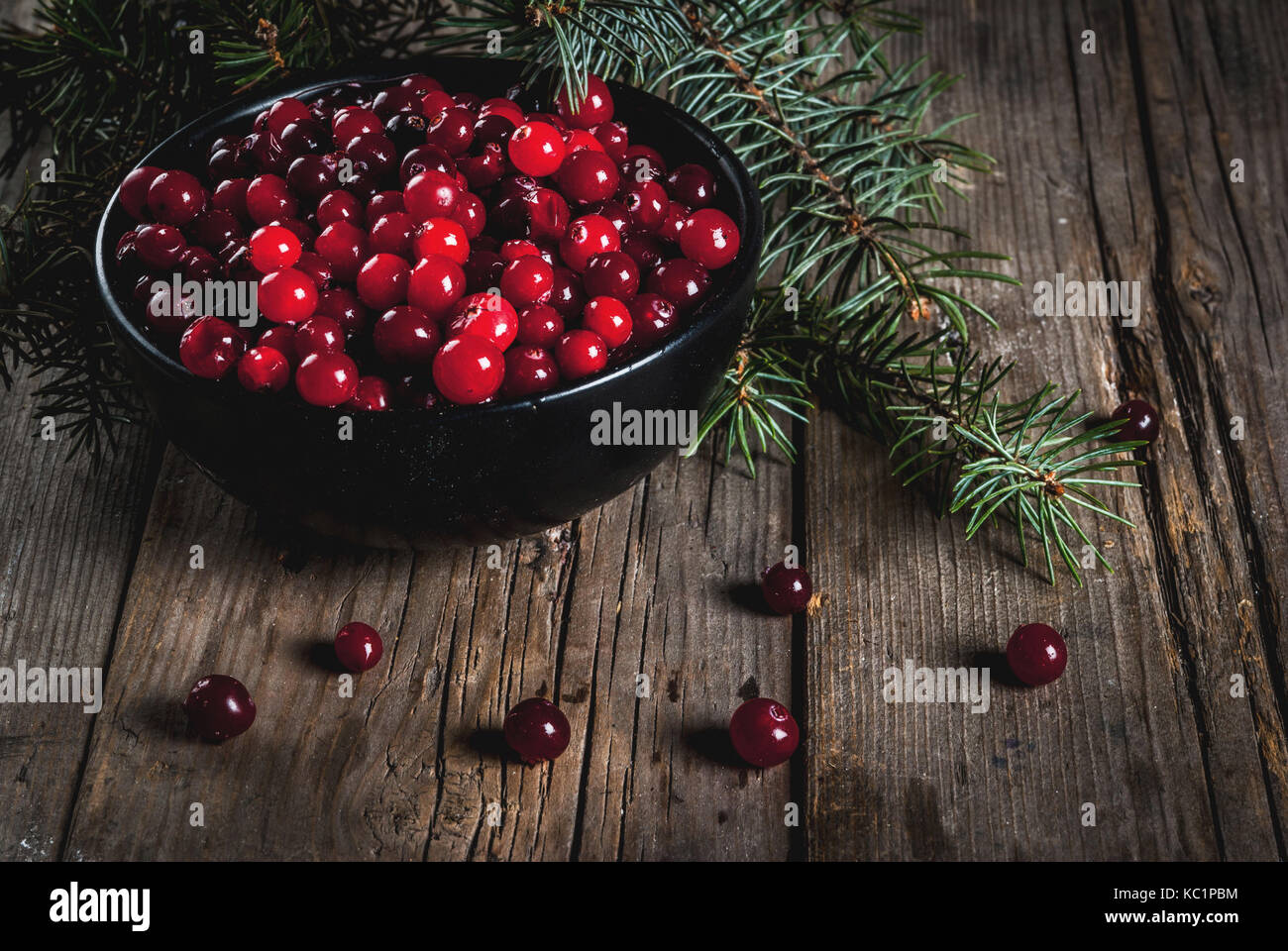 Autumn harvest, seasonal berries. Fresh raw cranberries in a black bowl