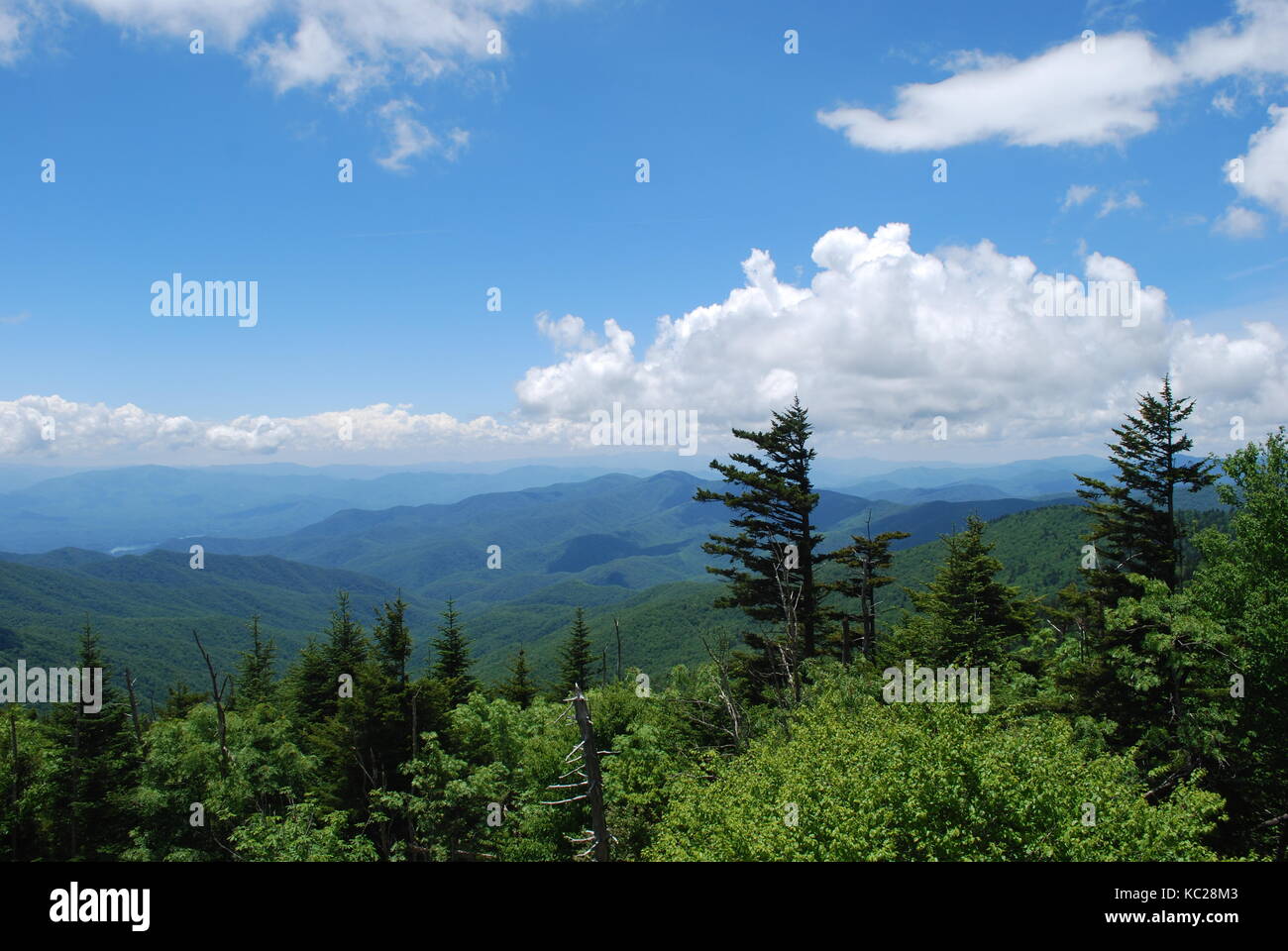 Blue mountains and forest with white clouds on blue sky. Dynamic windy