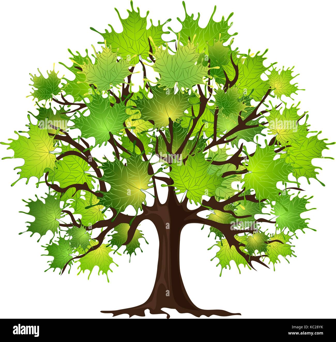 Tree maple, green foliage, white background Stock Vector