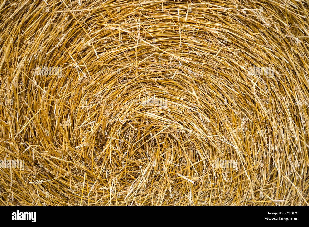 Haystack Stock Photo