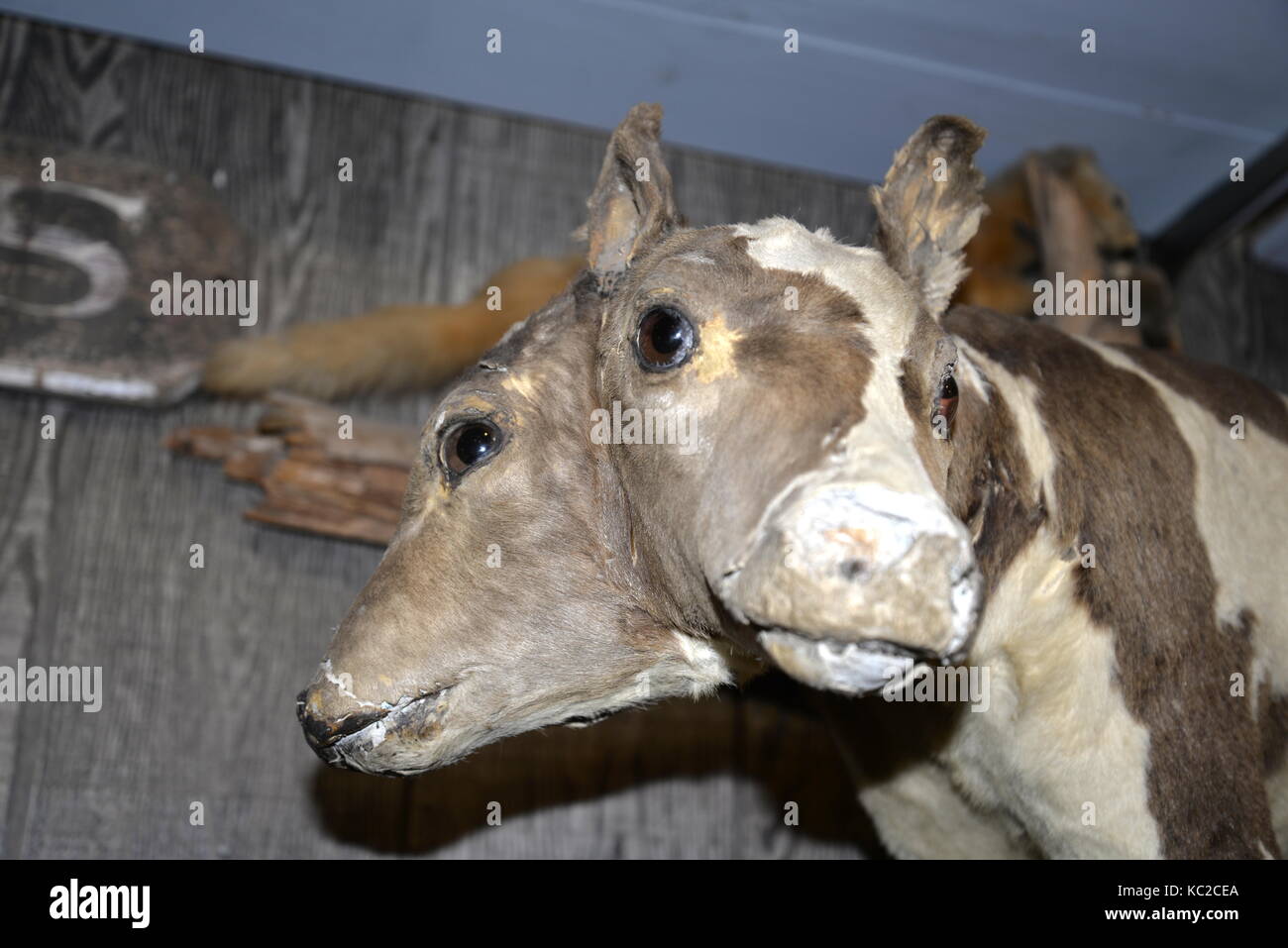 Marsh #39 s Free museum Stock Photo Alamy Marsh #39 s Free museum Stock Photo Alamy
