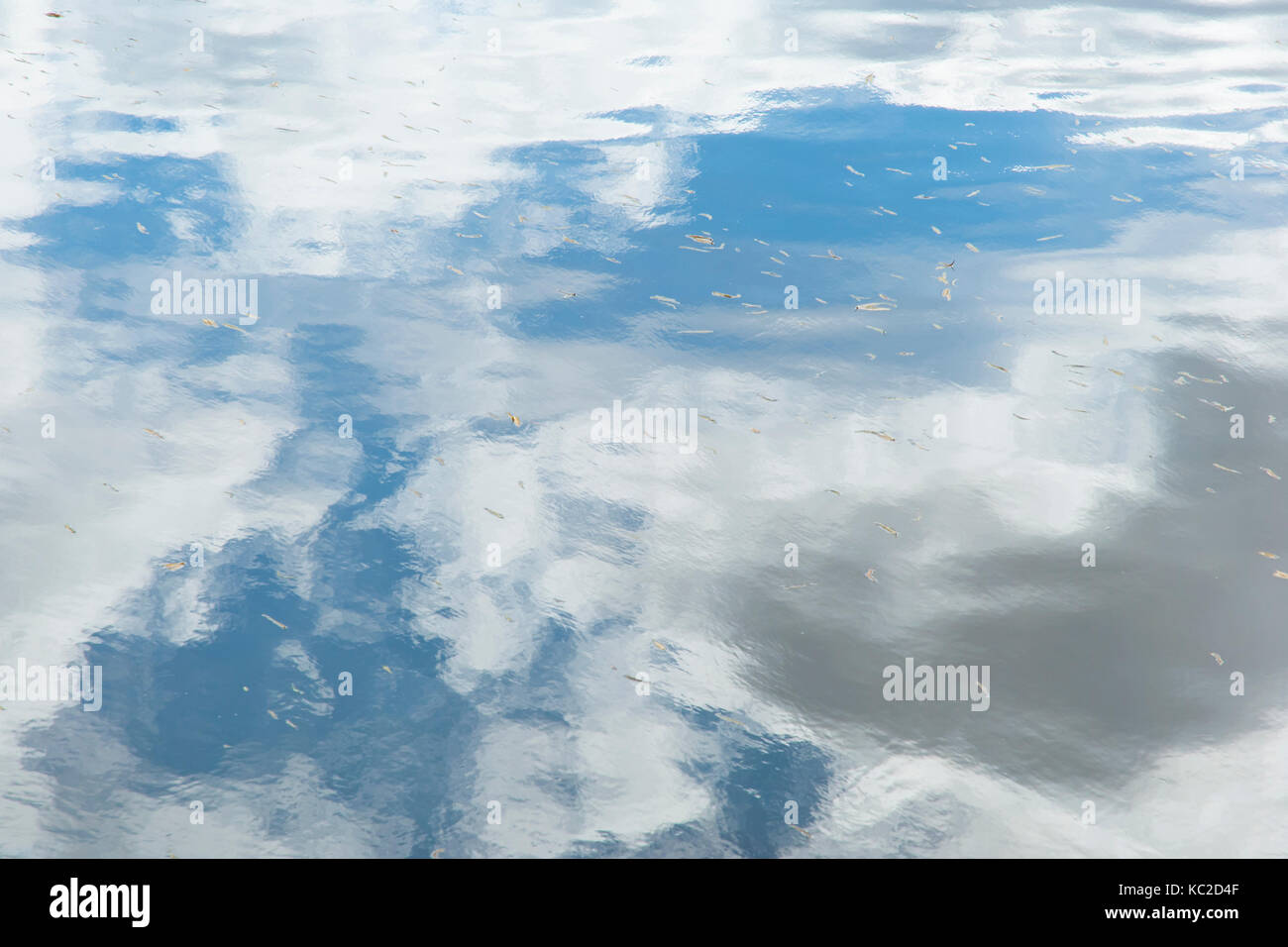 Blue sky and white clouds reflected in water Stock Photo - Alamy