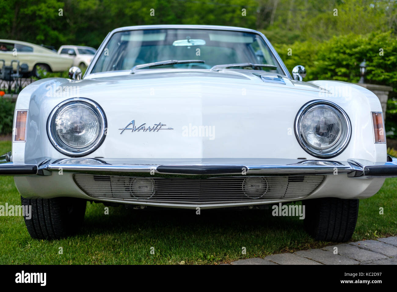 Front view of white 1963 Studebaker Avanti S headlights and logo. Stock Photo