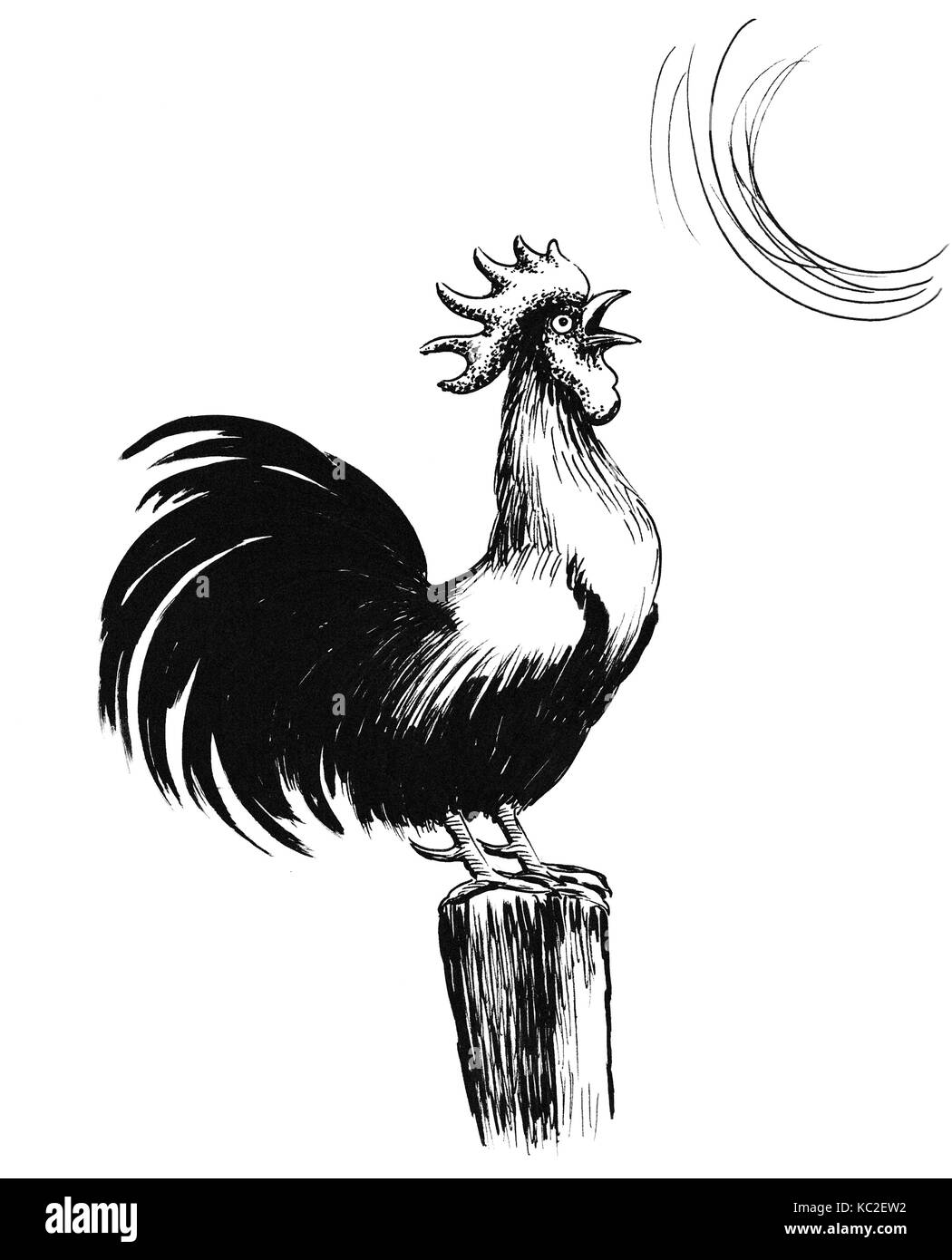 Morning rooster hires stock photography and images Alamy