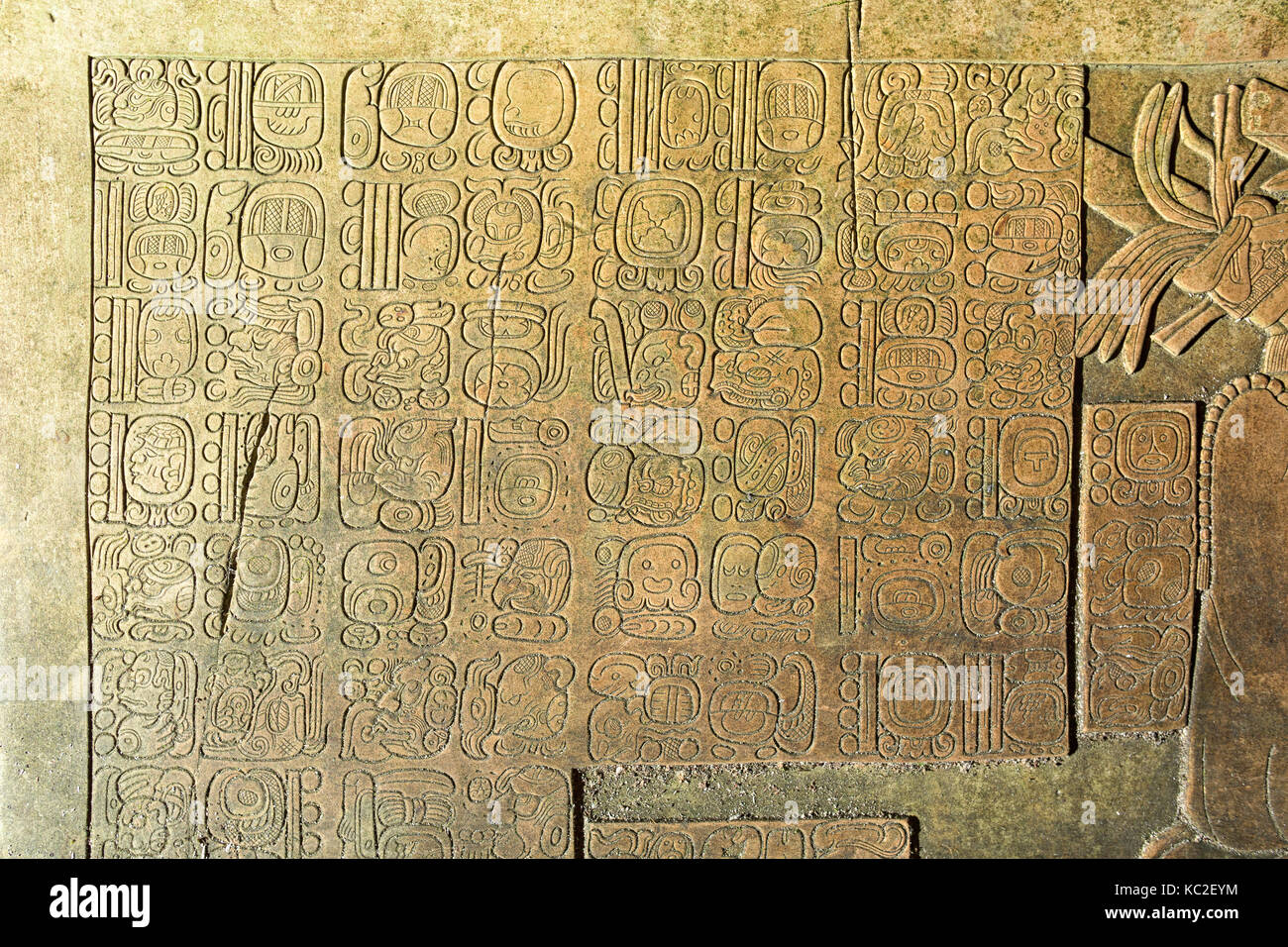 Basque Relief bas-relief in Palenque Mexico Stock Photo - Alamy