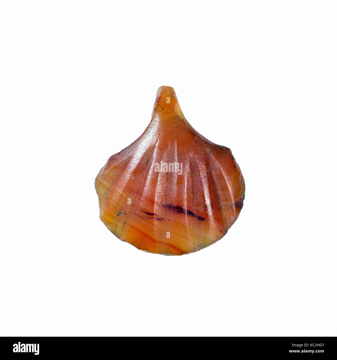 Shell Amulet Shell Amulet, Old Kingdom, ca. 2649–2100 B.C., From Egypt, Carnelian, H ...