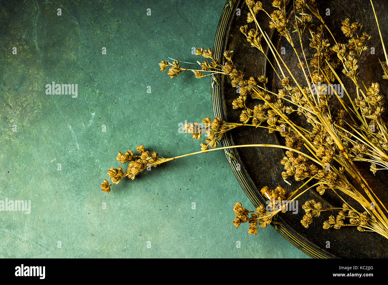 Dry flowers on vintage old metal dish. Dark stone concrete background. Copy space for text. Cozy fall atmosphere, moody. Stock Photo