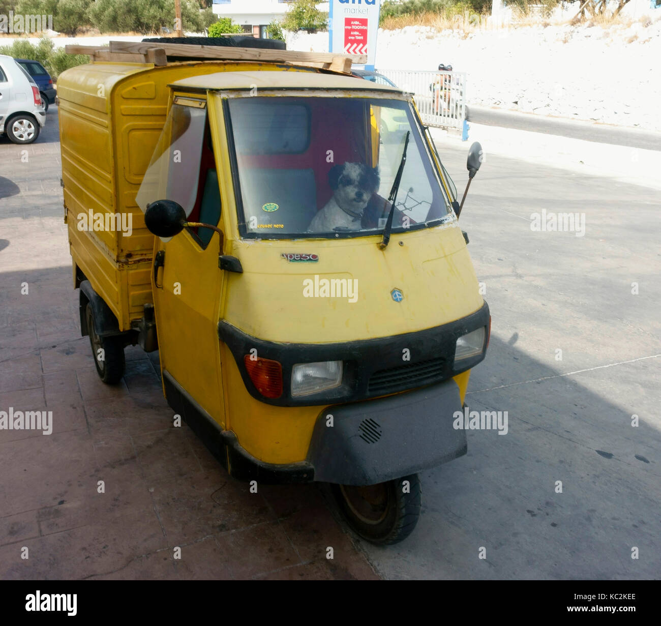 A dog sits patiently in a Piaggio Ape 50 Stock Photo