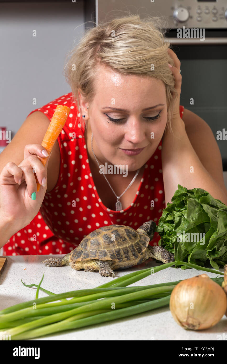 Girl eating carrot while tortoise looks up Stock Photo