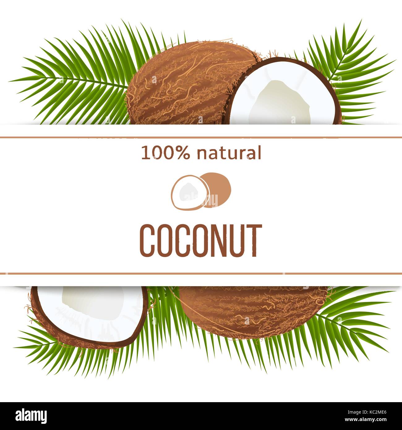 Ripe coconuts and palm leaves with text 100 percent natural. whole and cracked Stock Vector