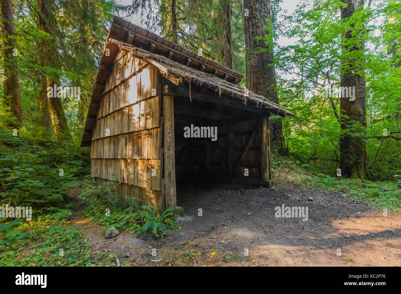 Emergency shelter along Hoh River Trail to Blue Glacier, Olympic National Park, Washington State, USA Stock Photo