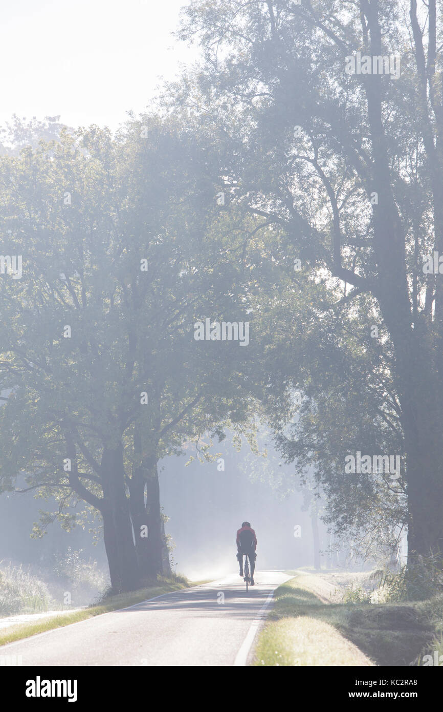 cyclist on country road in the netherlands in morning mist near utrecht on utrechtse heuvelrug Stock Photo