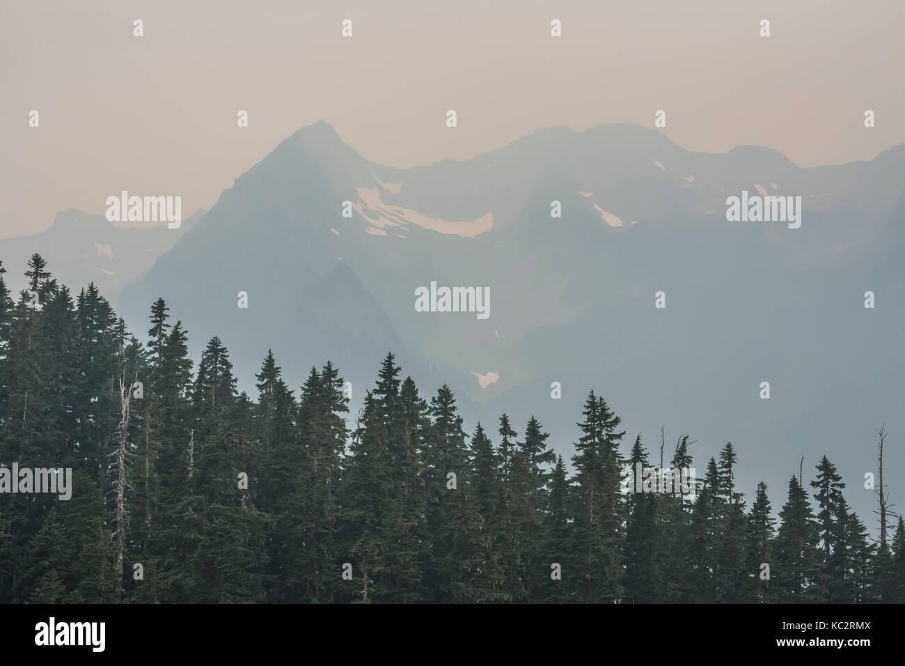 Fire smoke in the Olympic Mountains viewed from the Hoh River Trail to