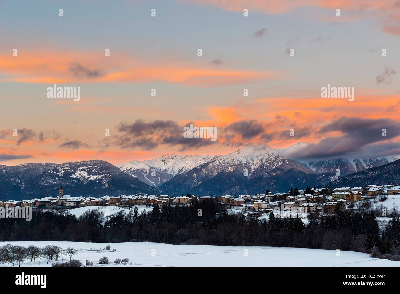 TrenTino capTivaTes you â€œI have never made a secret of my ..., image size:1300x957