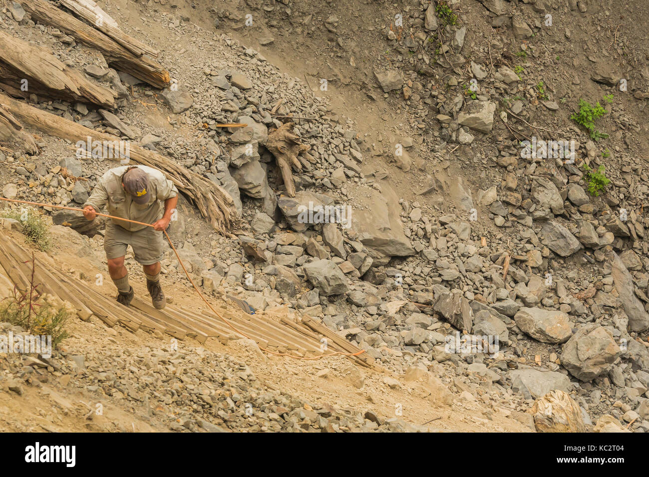 Backpacker Lee Rentz descending a long, steep rope ladder along the wall of a washout near Glacier Meadows Camp on the Hoh River Trail in Olympic Nati Stock Photo