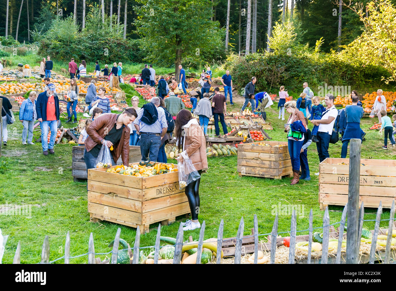 MERODE, GERMANY - SEPTEMBER 23, 2017 - People browse a farm market with pumpkins Stock Photo