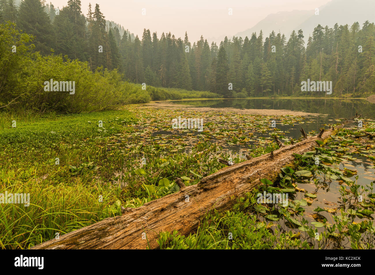 Elk Lake, the location of a campground and trail shelter along the Hoh River Trail, in Olympic