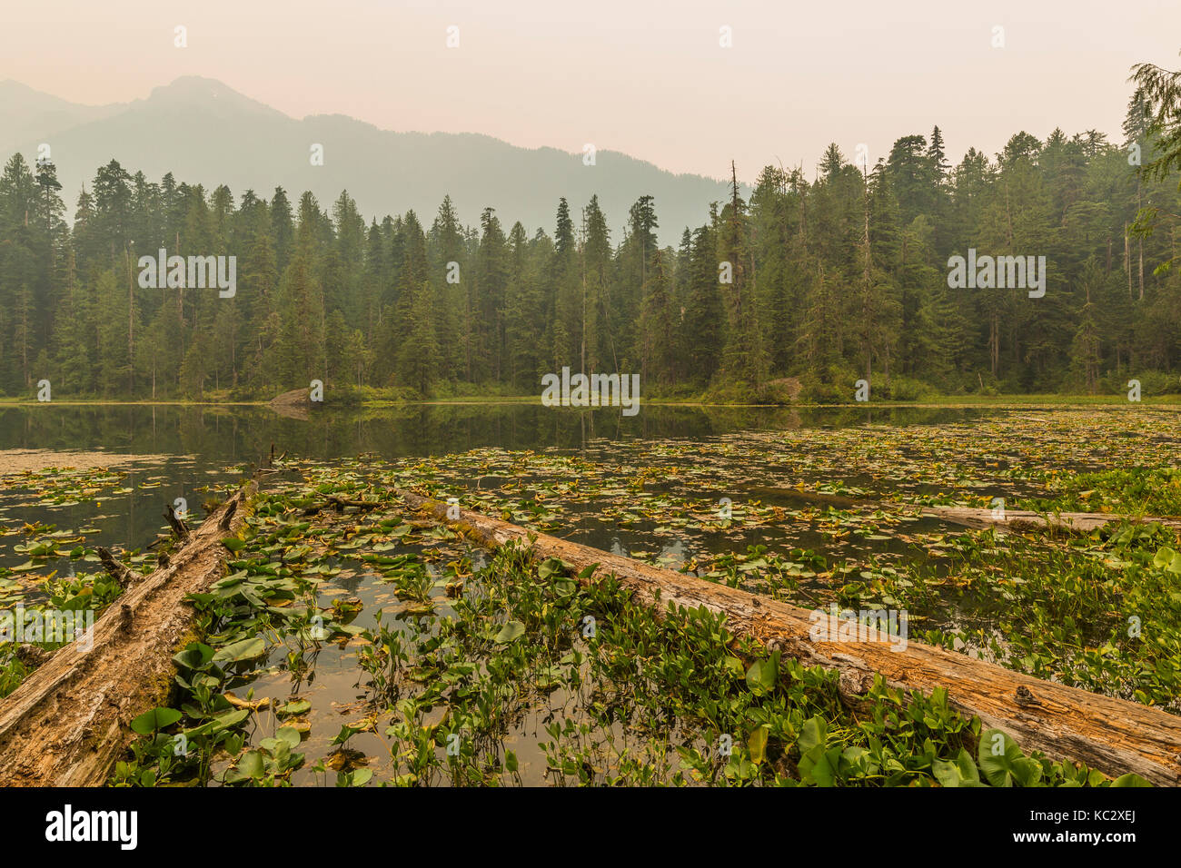 Elk lake shelter hires stock photography and images Alamy