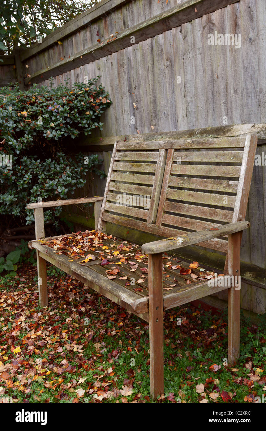 Rustic wooden bench covered in fall leaves in an autumnal garden Stock Photo