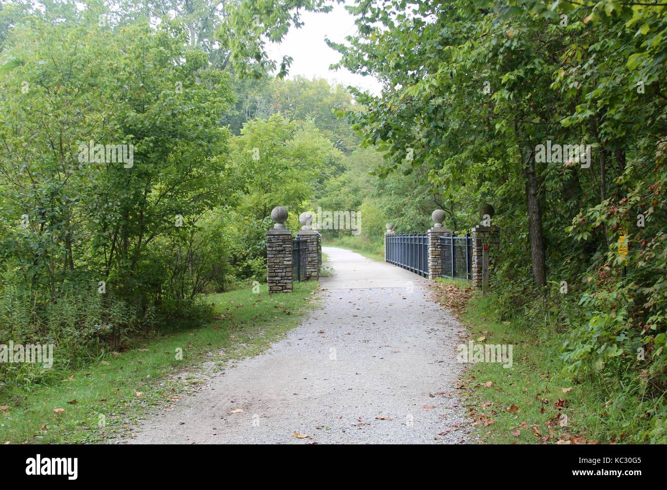 The plants, flowers and landscapes of some of the parks in Hamilton