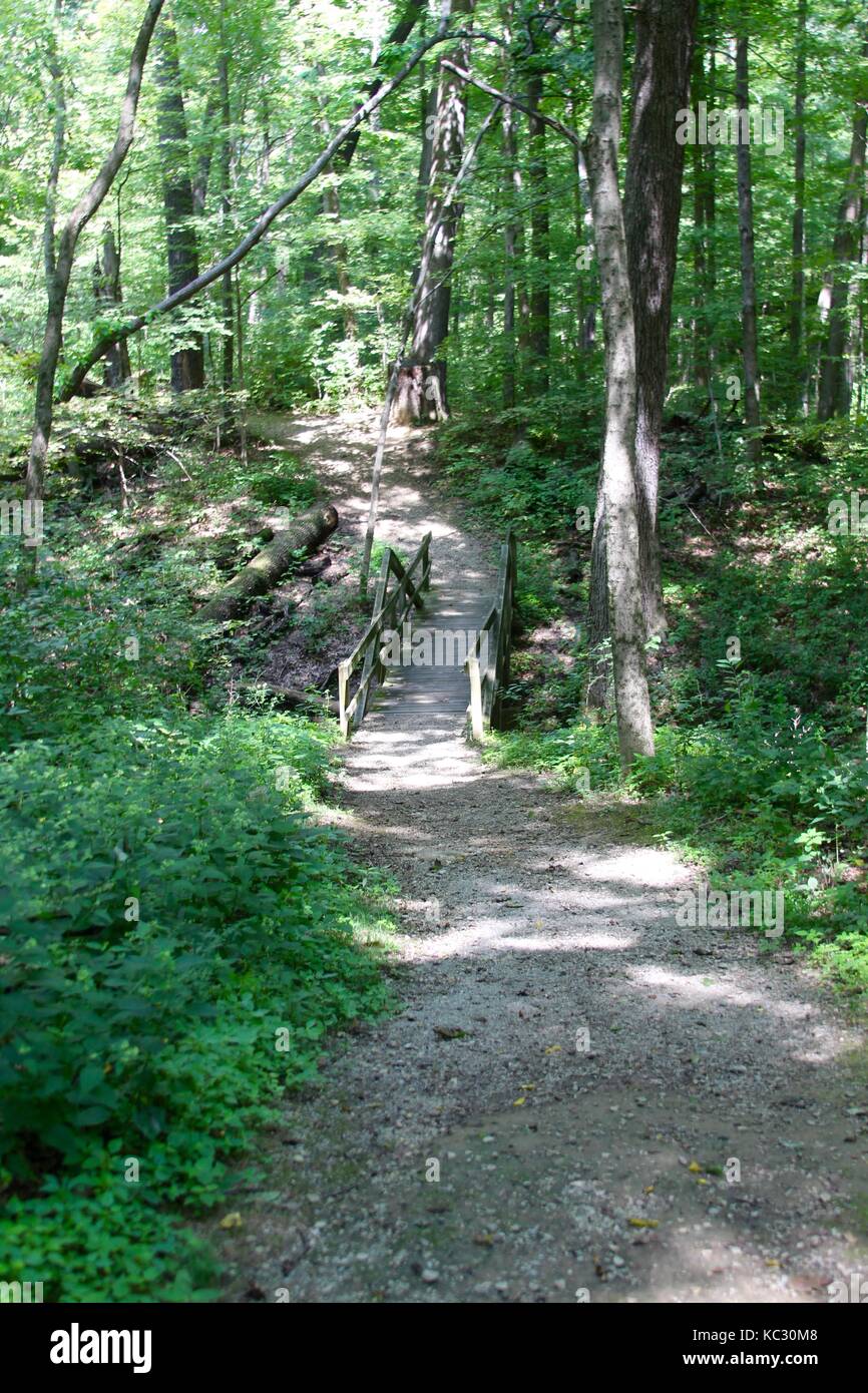 the-plants-flowers-and-landscapes-of-some-of-the-parks-in-hamilton