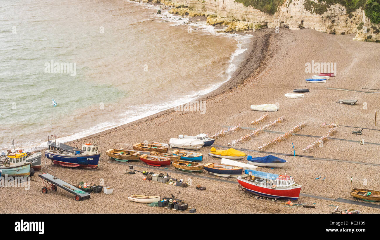 Beach at the Village of Beer in Devon England Stock Photo Alamy