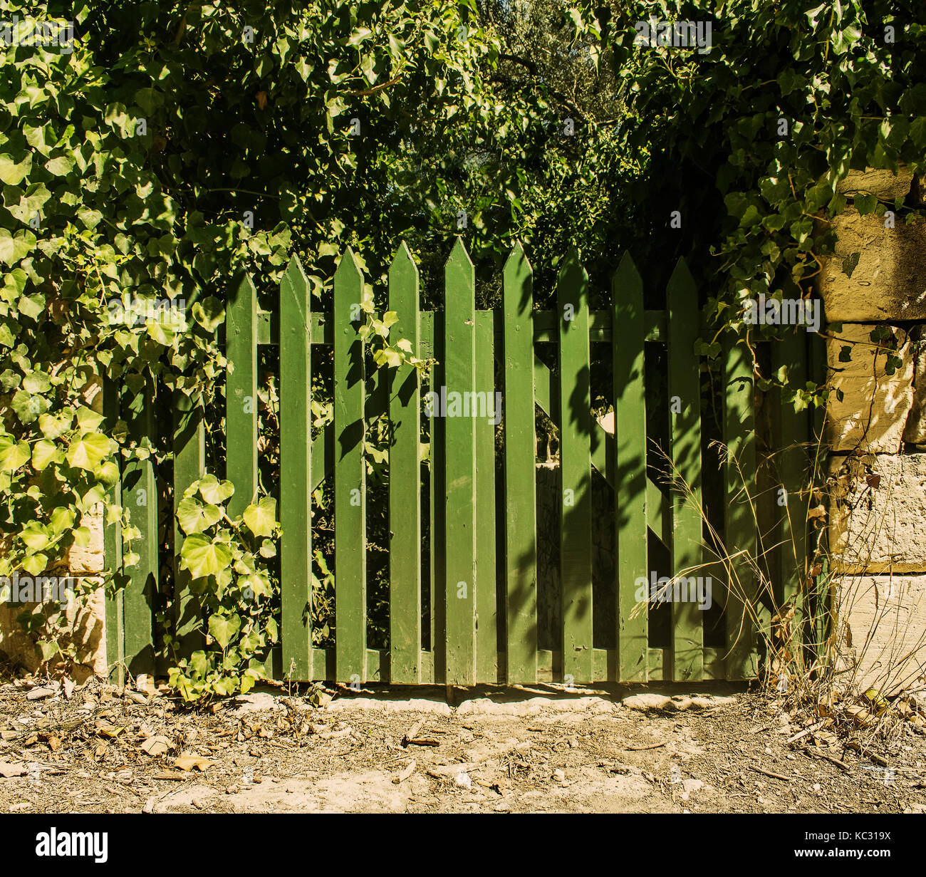 A wooden fence in the forest Stock Photo - Alamy