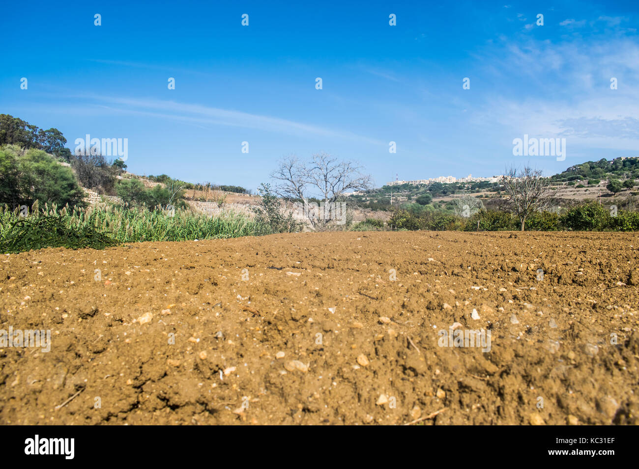 Arable land ready for farming Stock Photo Alamy