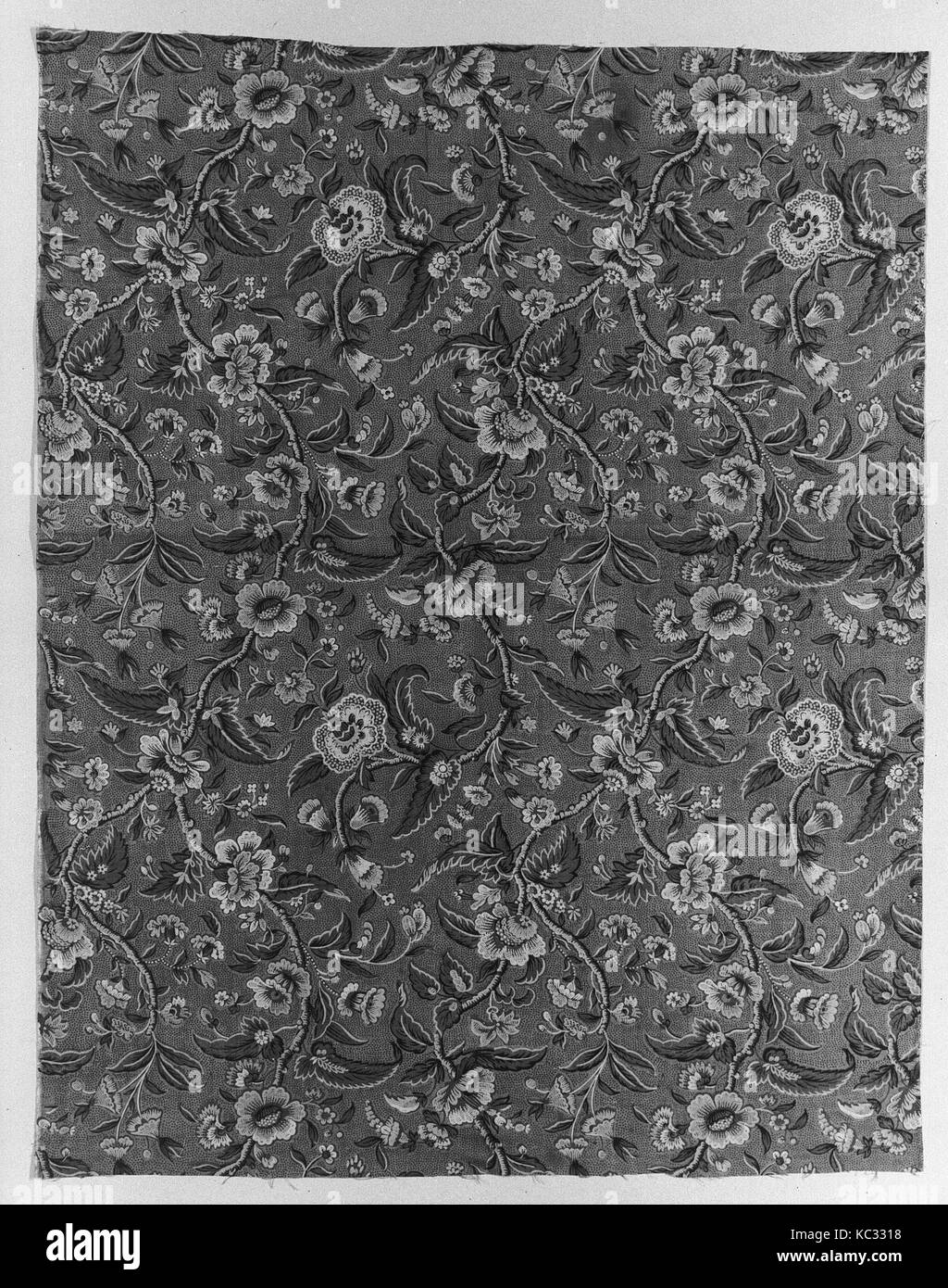 Piece, 1808–12, British, Cotton, L. 31 1/2 x W. 24 1/2 inches, Textiles-Printed Stock Photo