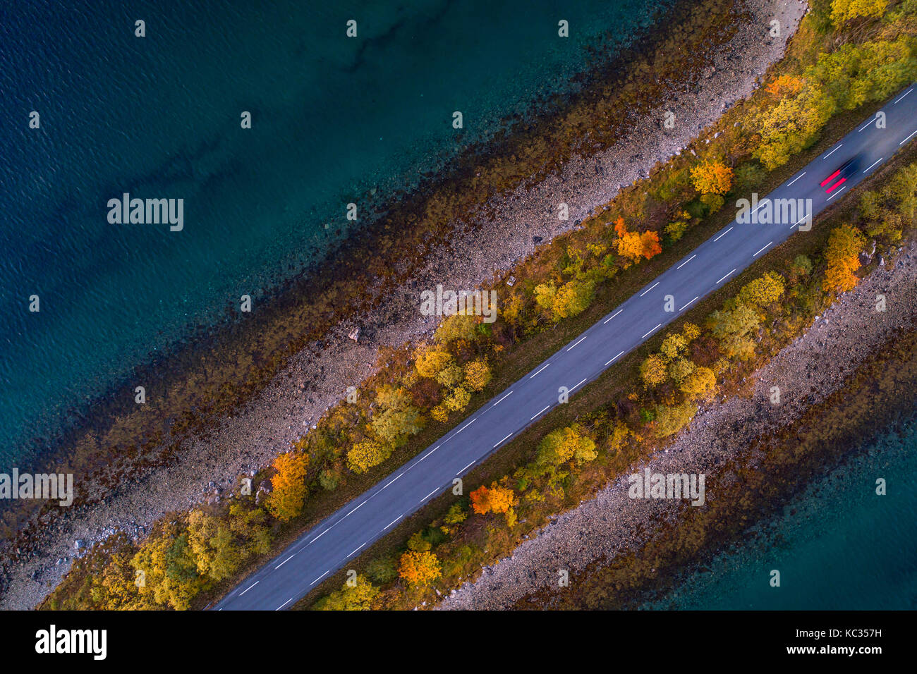 Aerial shot of a car on the road between two coastlines going through avenue of trees in autumn colors. Blue sea shore. Norway Stock Photo