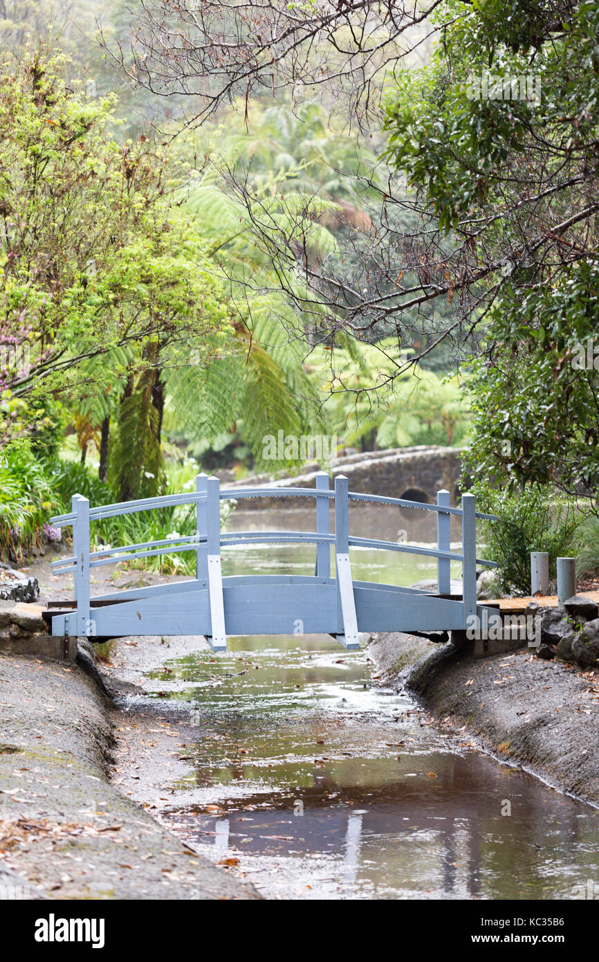 Tamborine Botanical gardens in the rain Stock Photo Alamy
