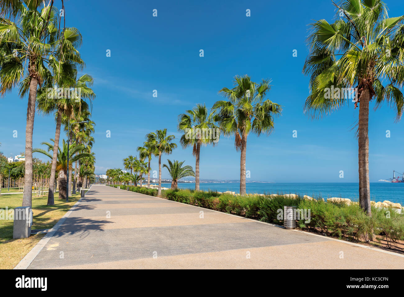 Limassol, Cyprus - Palm trees on Promenade alley. Stock Photo