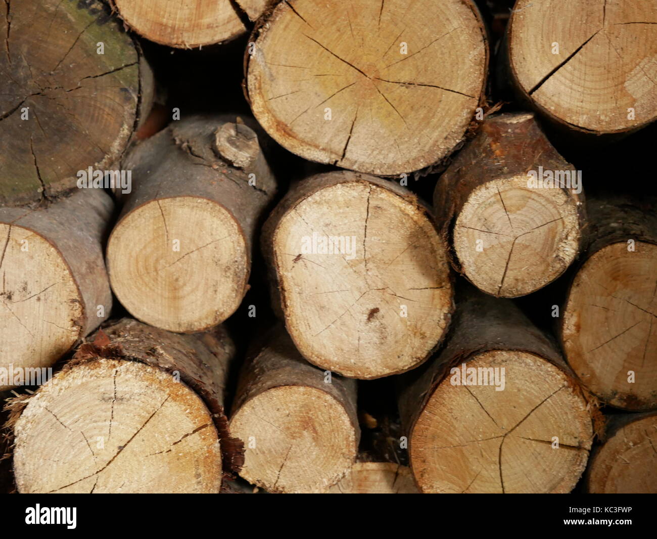 Logs ready to burn Stock Photo Alamy