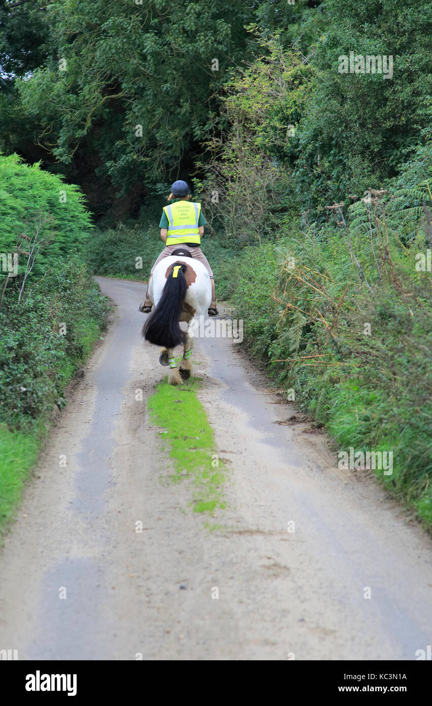 Woman riding a horse down quiet country lane, Eyke, Suffolk, England ...