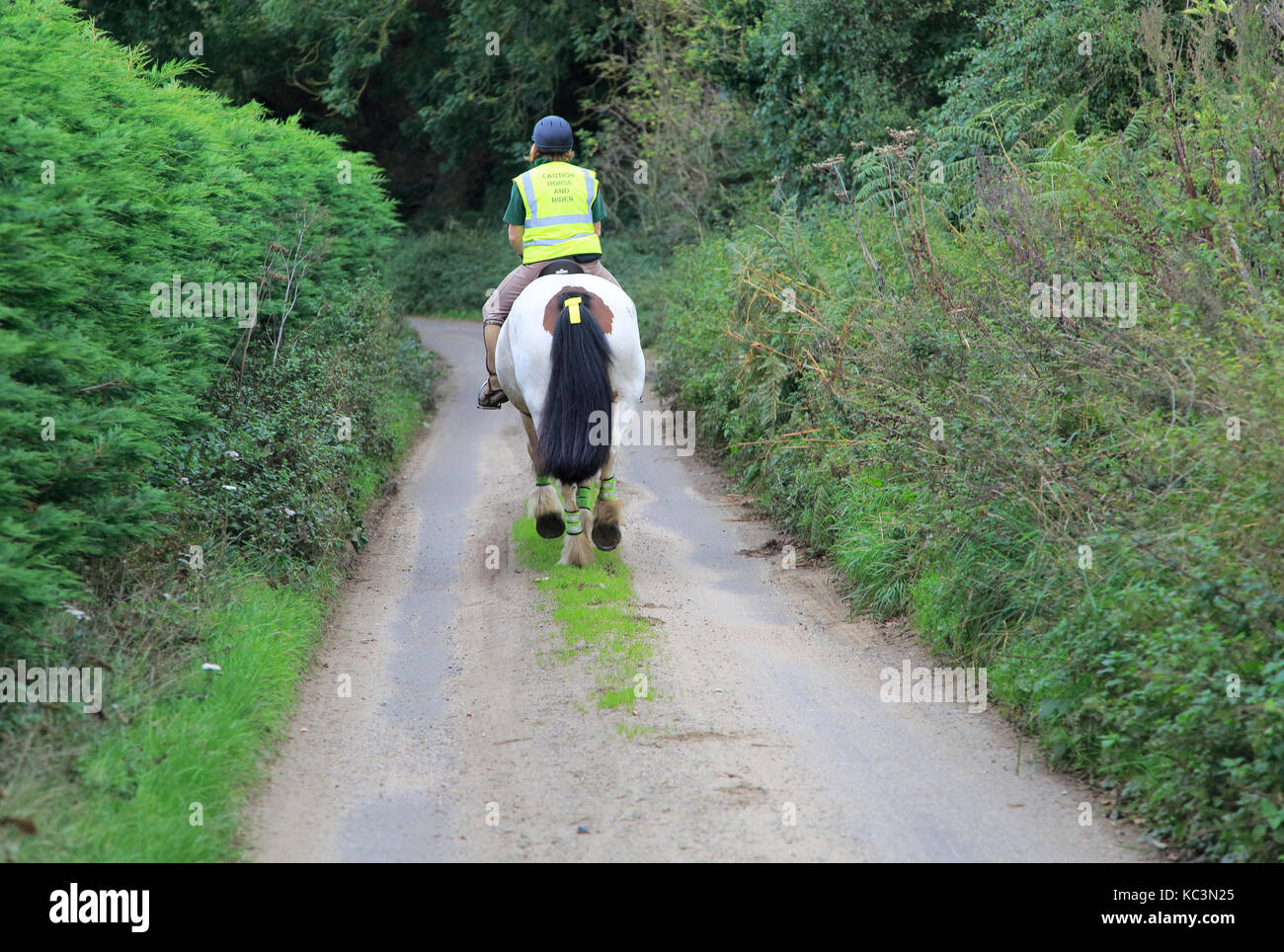 Woman riding a horse down quiet country lane, Eyke, Suffolk, England ...