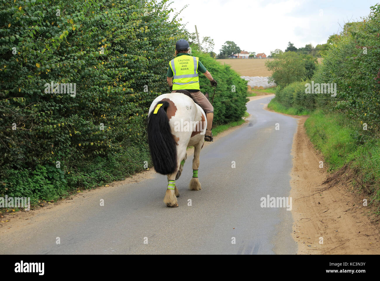 Woman riding a horse down quiet country lane, Bromeswell, Suffolk ...