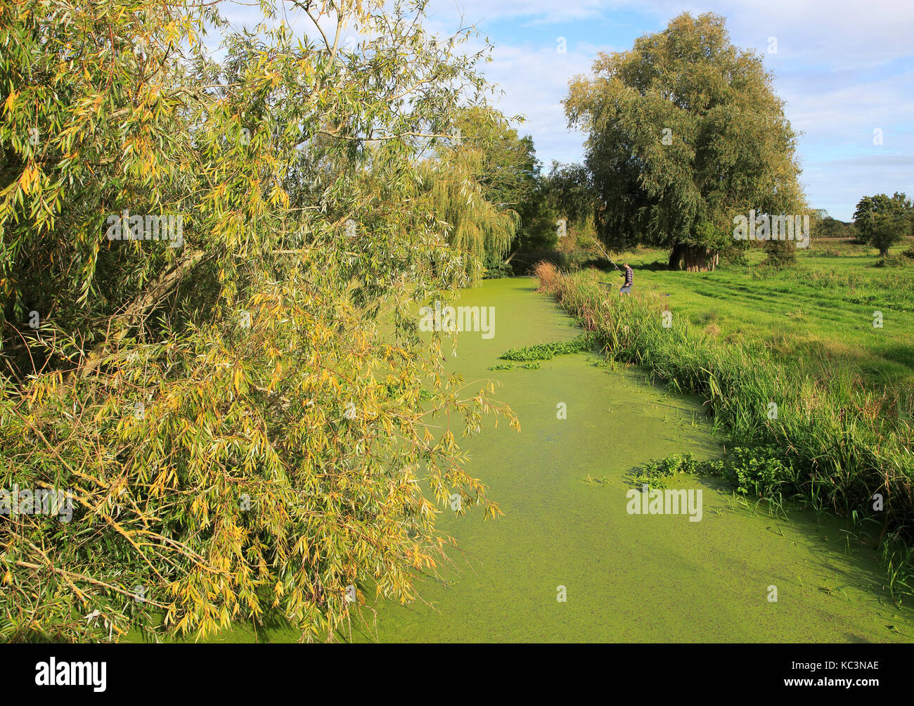 Autumn rural landscape River Deben, Ufford, Suffolk, England, UK with fisherman Stock Photo