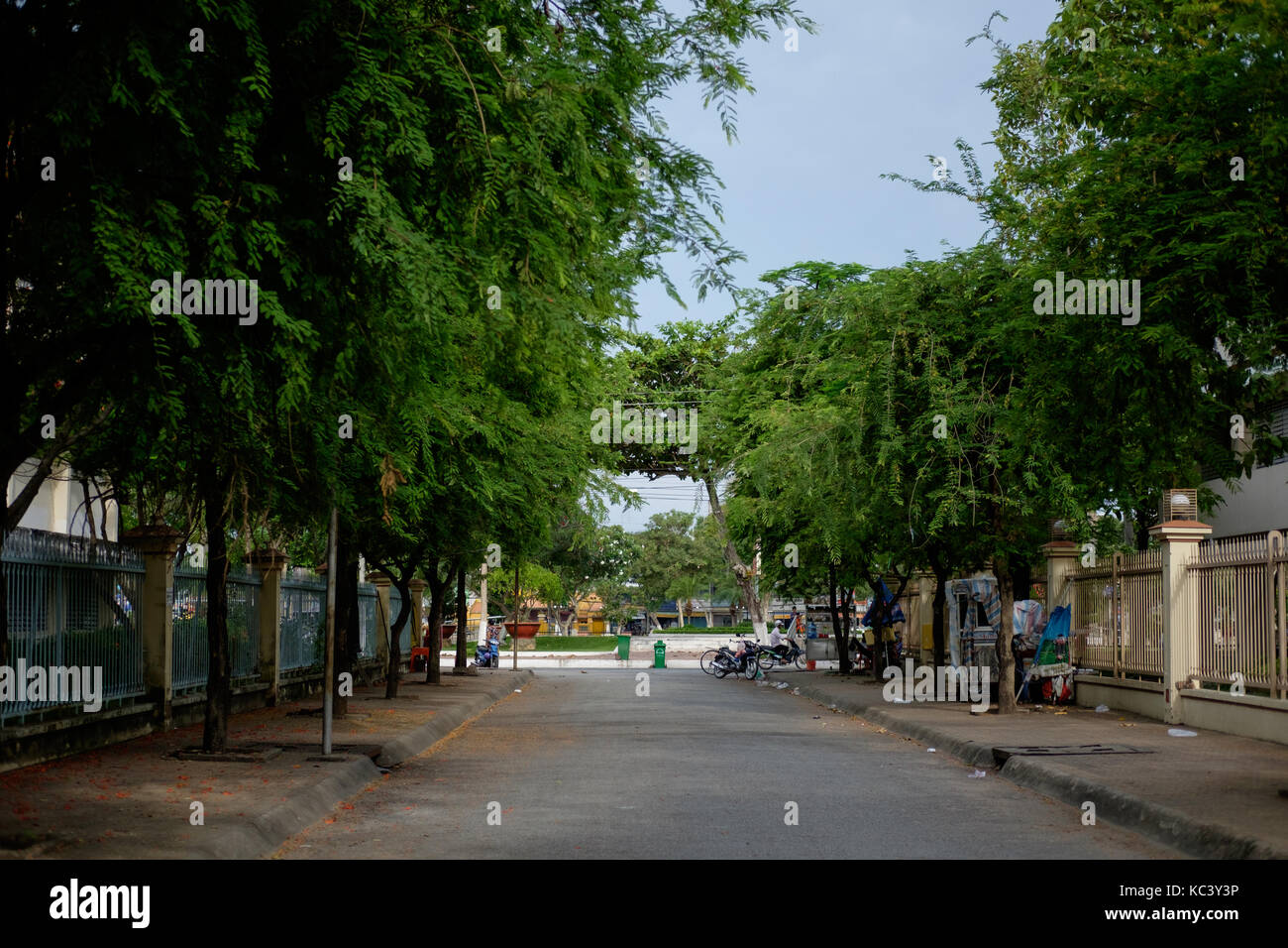 Long Xuyen street, The road has two rows of green trees along. Stock Photo
