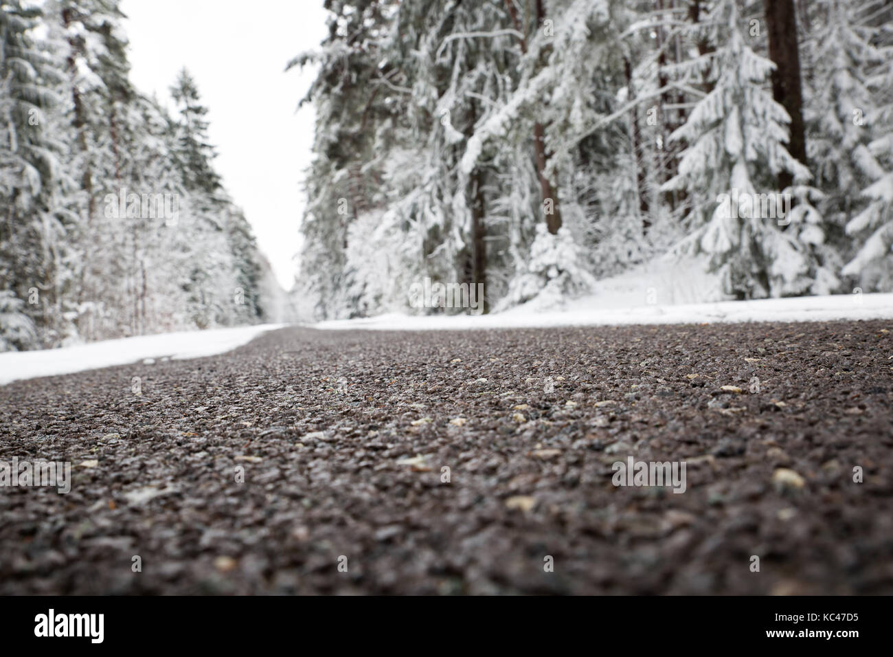 Asphalt road in snowy winter on beautiful day Stock Photo - Alamy