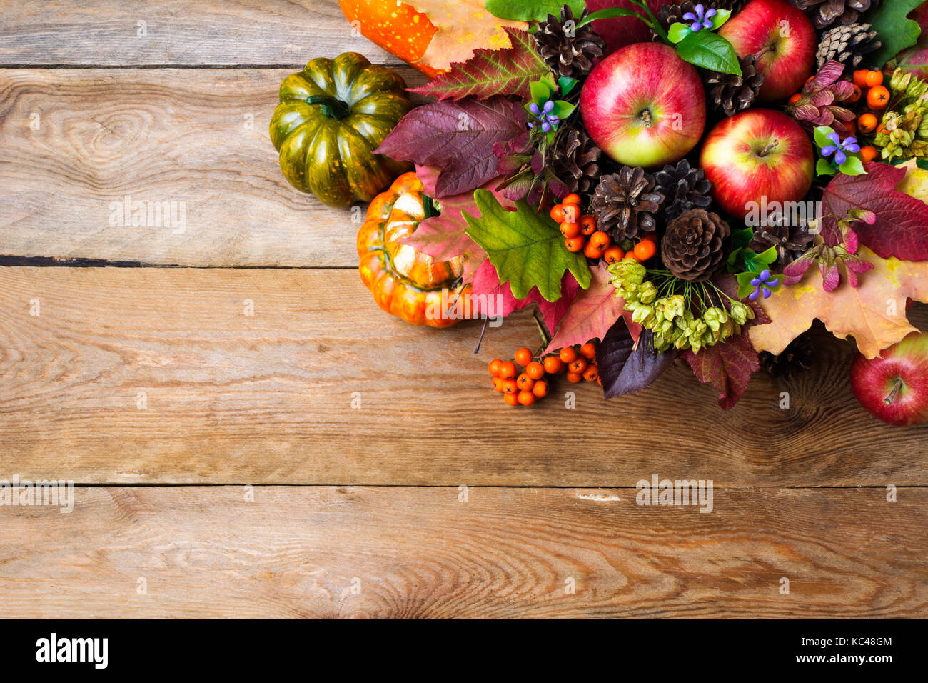 Thanksgiving or fall greeting background with ripe apples, rowan berries, green seeds, cones, blue flowers, pumpkins, leaves, copy space Stock Photo